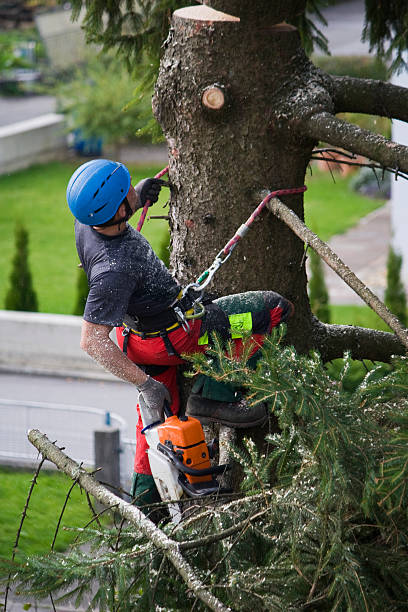 Best Utility Line Clearance  in Chelsea, AL